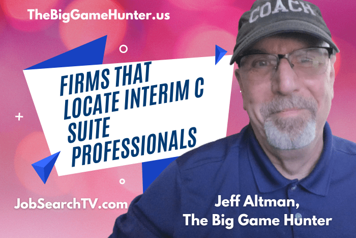 Firms That Locate Interim C Suite Professionals